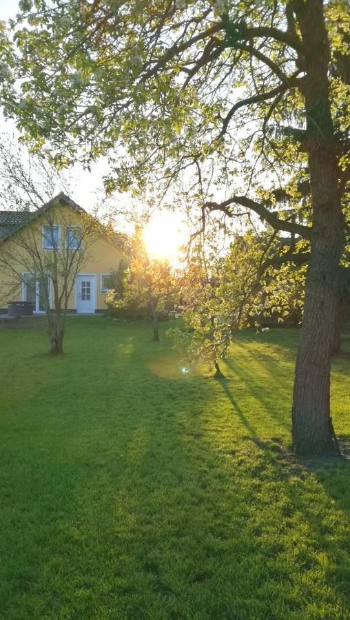 Ferienwohnung Luba Lipa Drachhausen Esterno foto